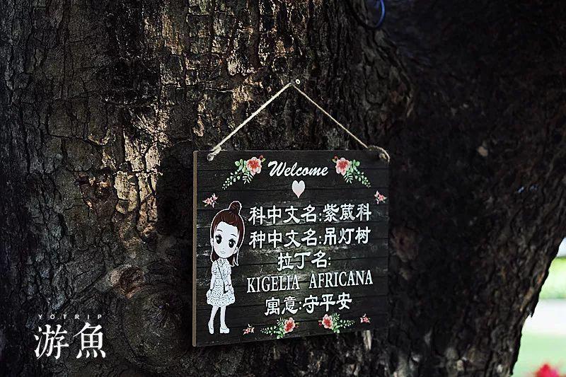 三星s24ultra登顶续航王座