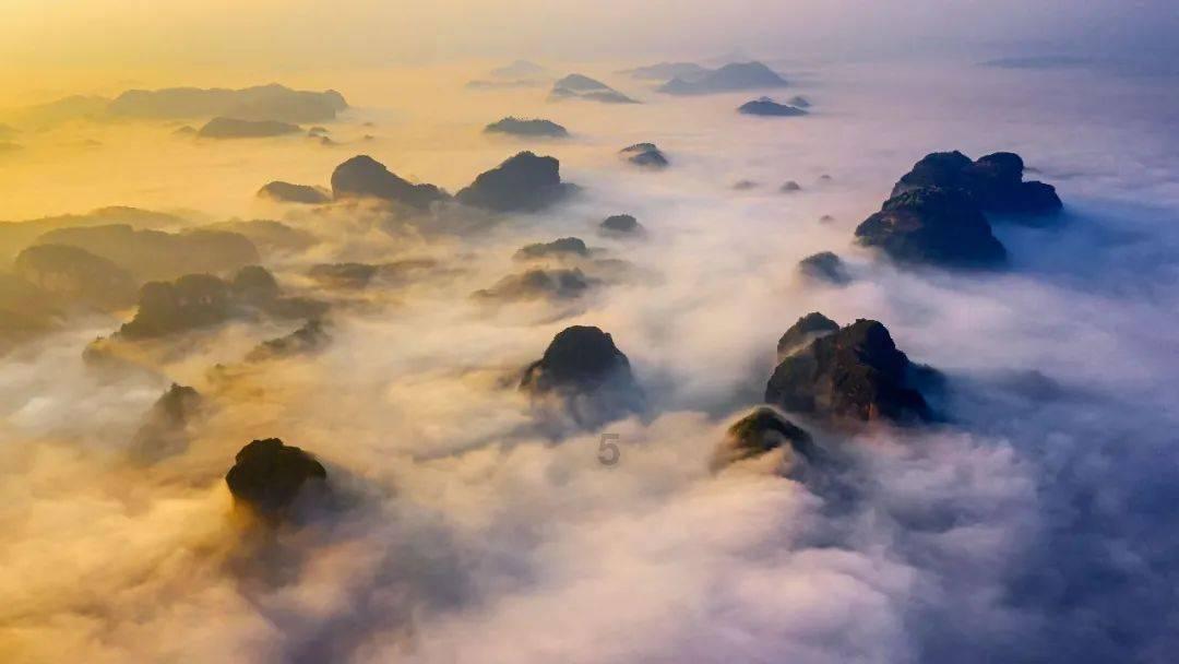 雷东宝背叛宋运萍，震惊冯欣欣！令人心碎的真相揭示！